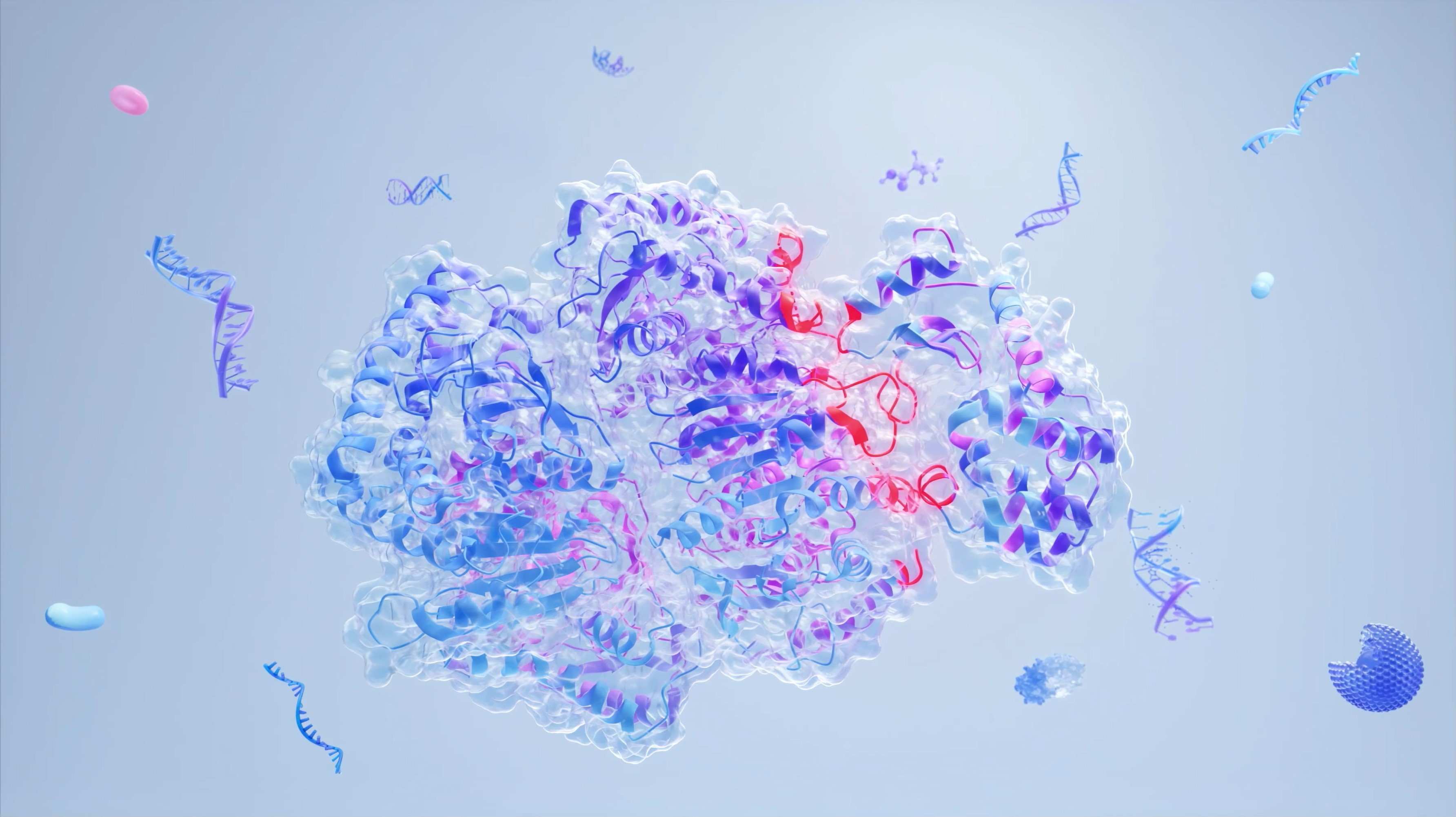 分子之心